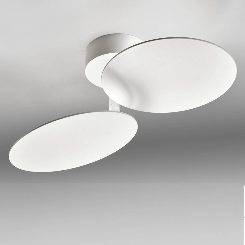 Plate 2-lichts plafondlamp